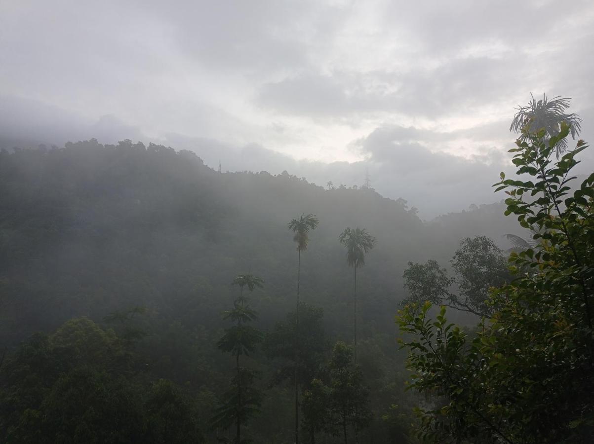 Riverbench Homestay Munnar Anaviratty Exterior foto