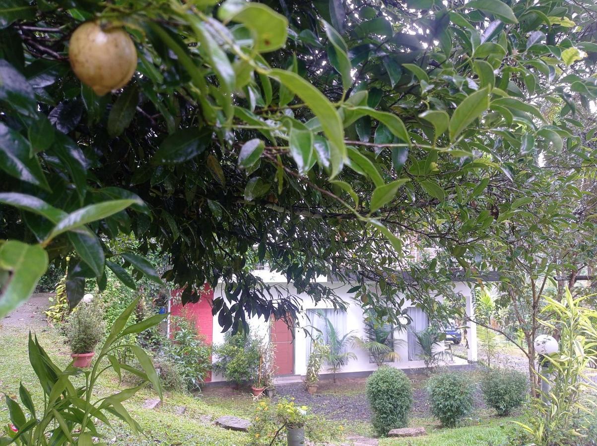 Riverbench Homestay Munnar Anaviratty Exterior foto