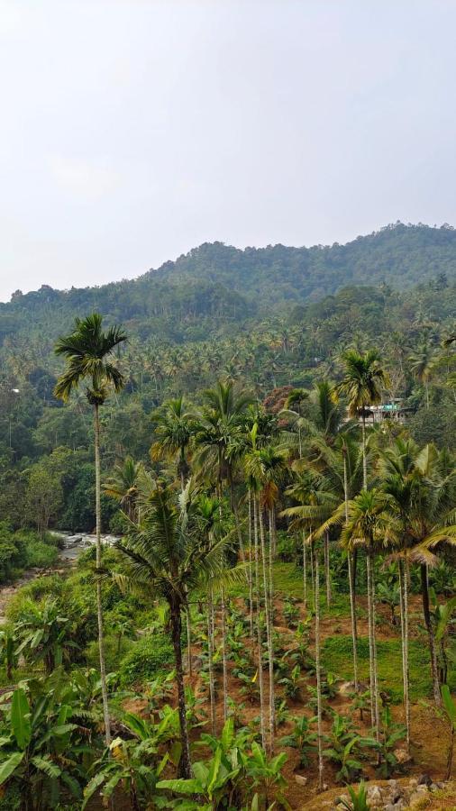 Riverbench Homestay Munnar Anaviratty Exterior foto